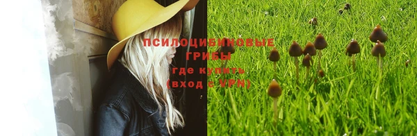 кокаин колумбия Алексин